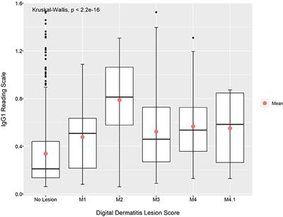 Diagnosis of Bovine Digital Dermatitis: Exploring the Usefulness of Indirect ELISA